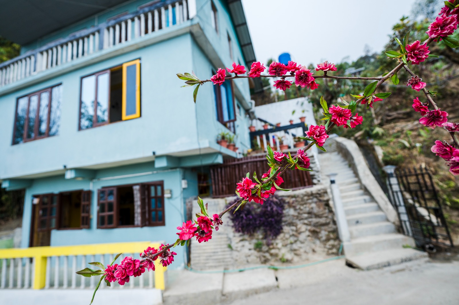 Tinchuley Nature view Homestay